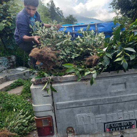 3c8af437-1595-46d1-a1d7-dc4008502d46