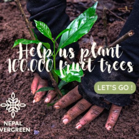 NepalEvergreen_Banner_Medium_300x250px