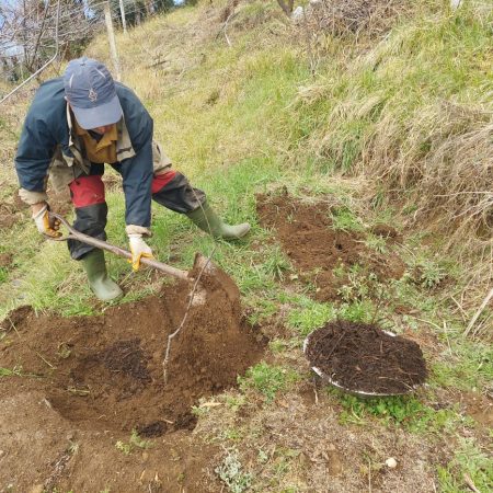 WhatsApp Image 2026-03-25 at 13.04.04