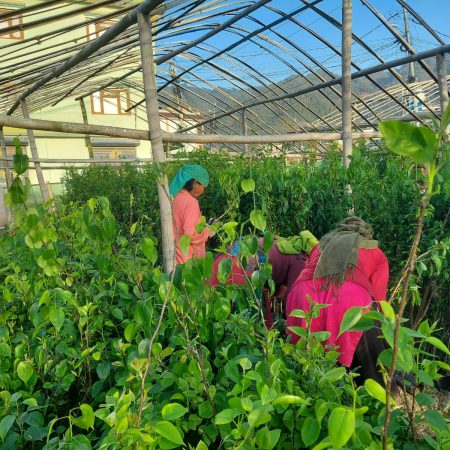 WhatsApp Image 2026-03-17 at 15.17.17 (1)