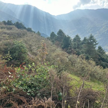 WhatsApp Image 2025-09-27 at 13.57.40_cbd6e3a6